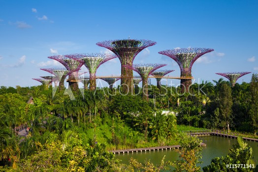 Bild på Daytime view of the Supertree grove at Gardens By The Bay Singa